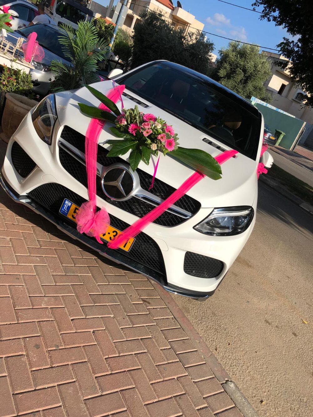 קישוט רכב 9